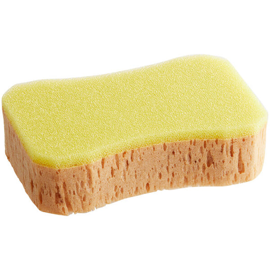Sponge #151