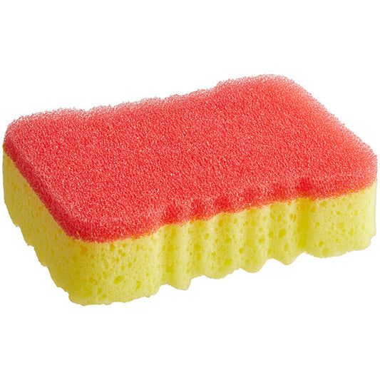 Sponge #149