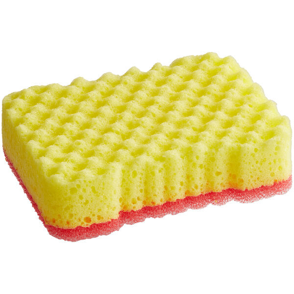 Sponge #149