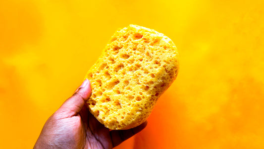 Sponge #175