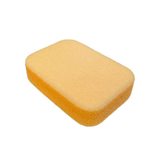 Sponge #145