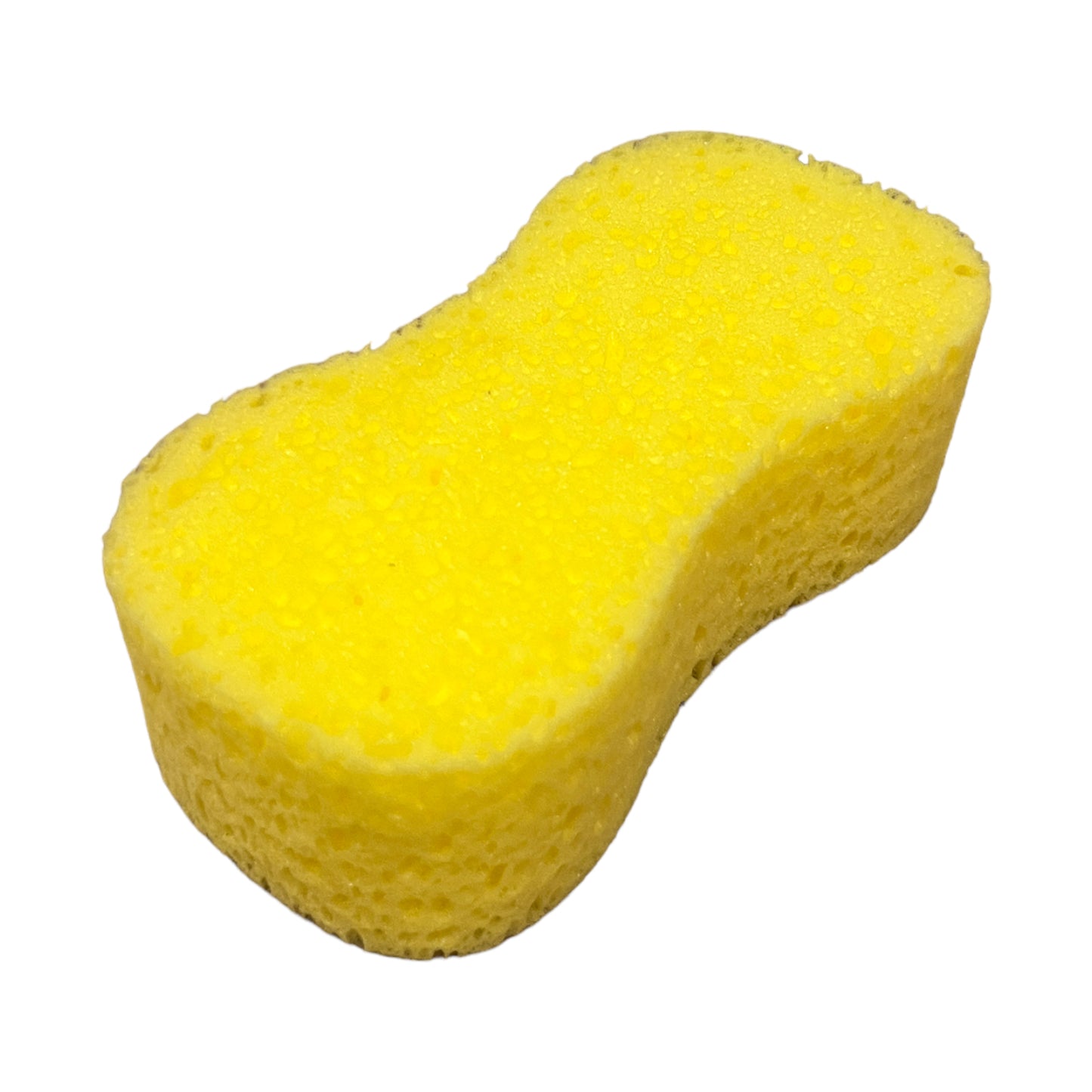Sponge #161