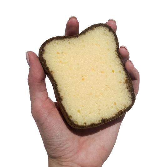 Bread Slice Sponge (Set of 3)