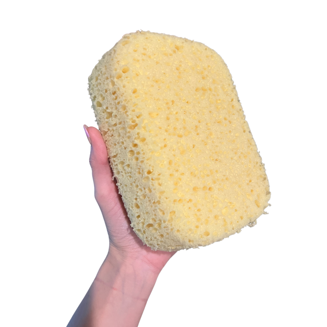 Sponge #127