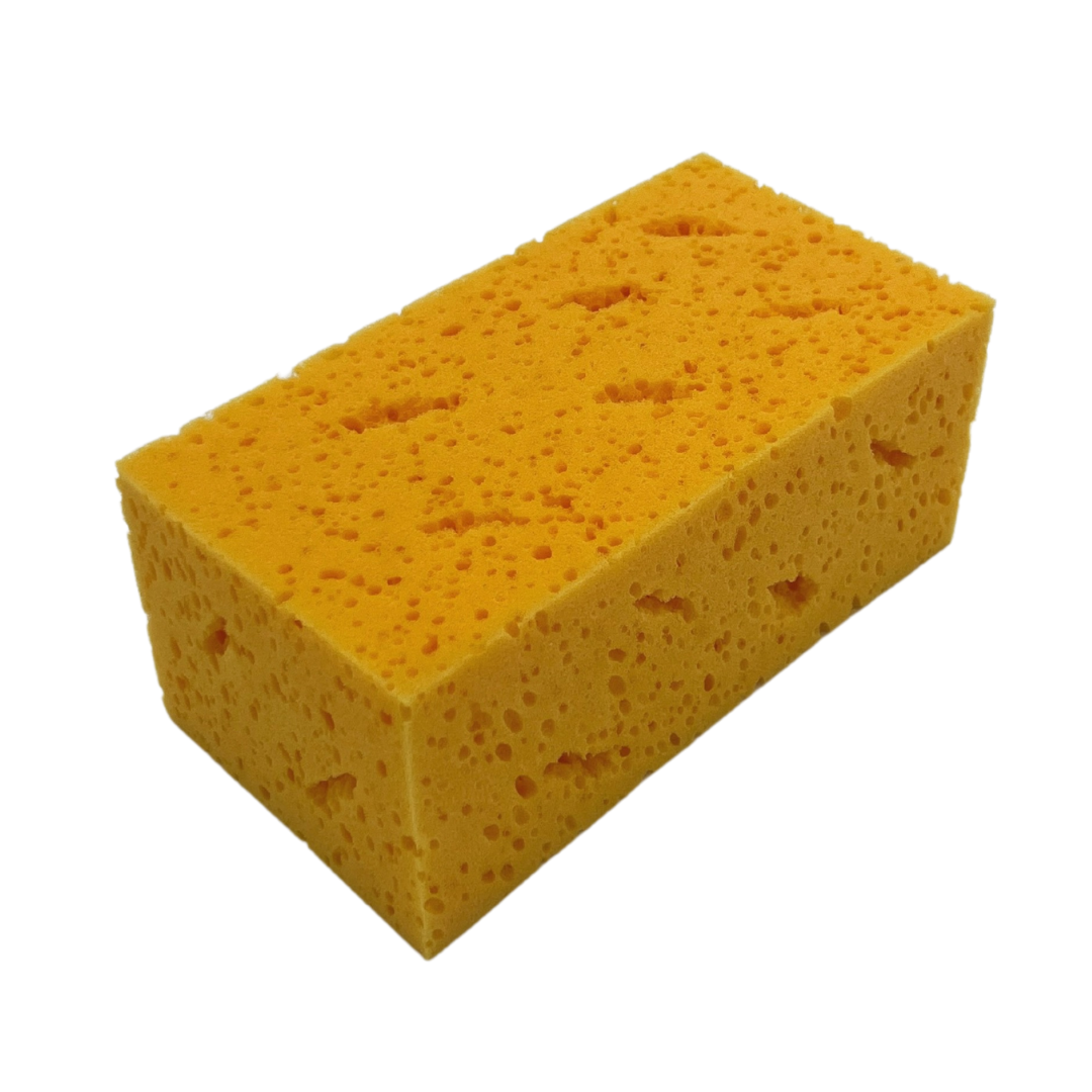 Sponge #119