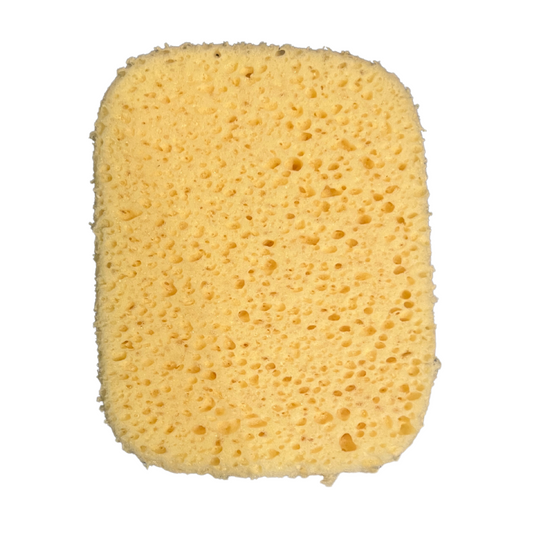 Sponge #127 *Restocking Soon*