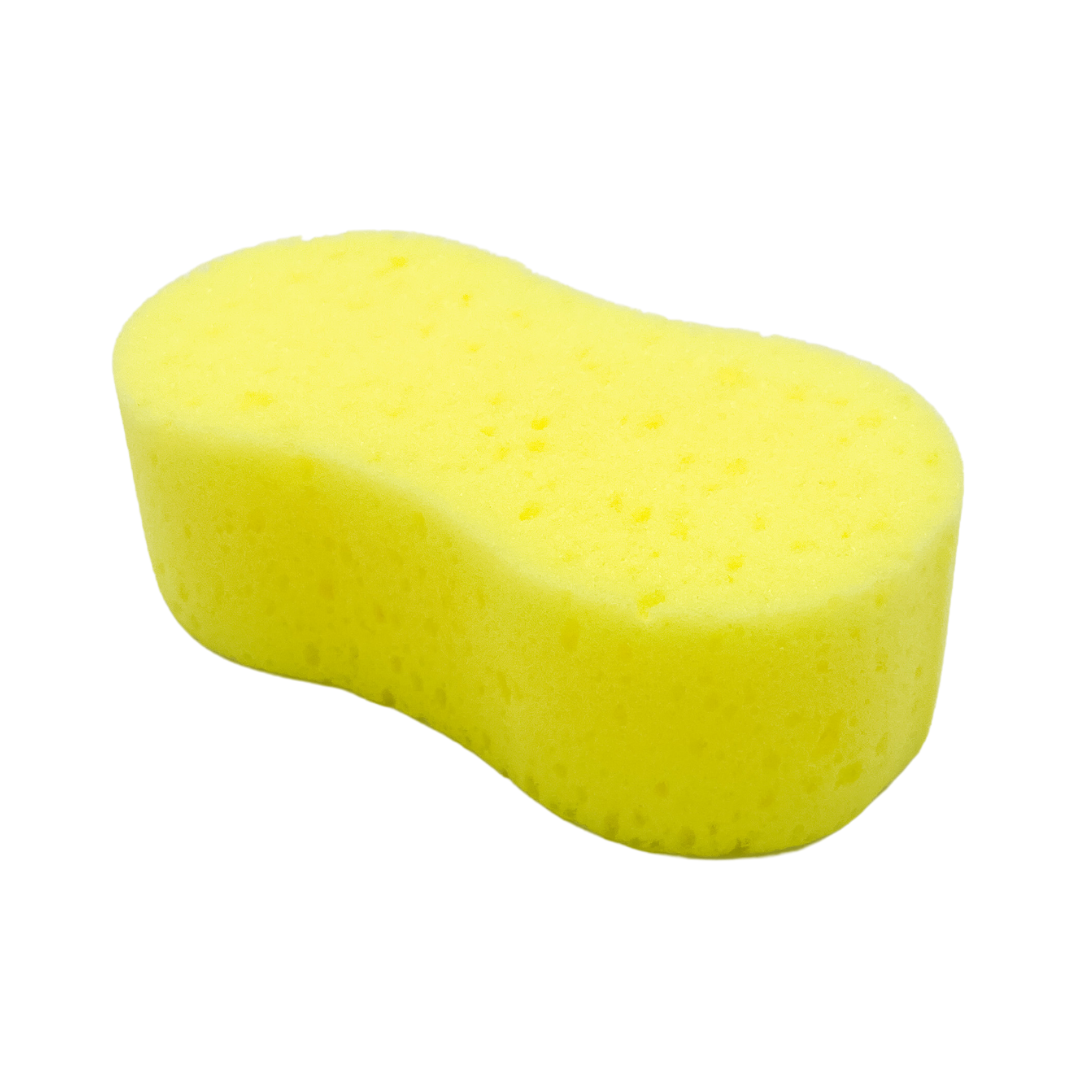 Sponge #102