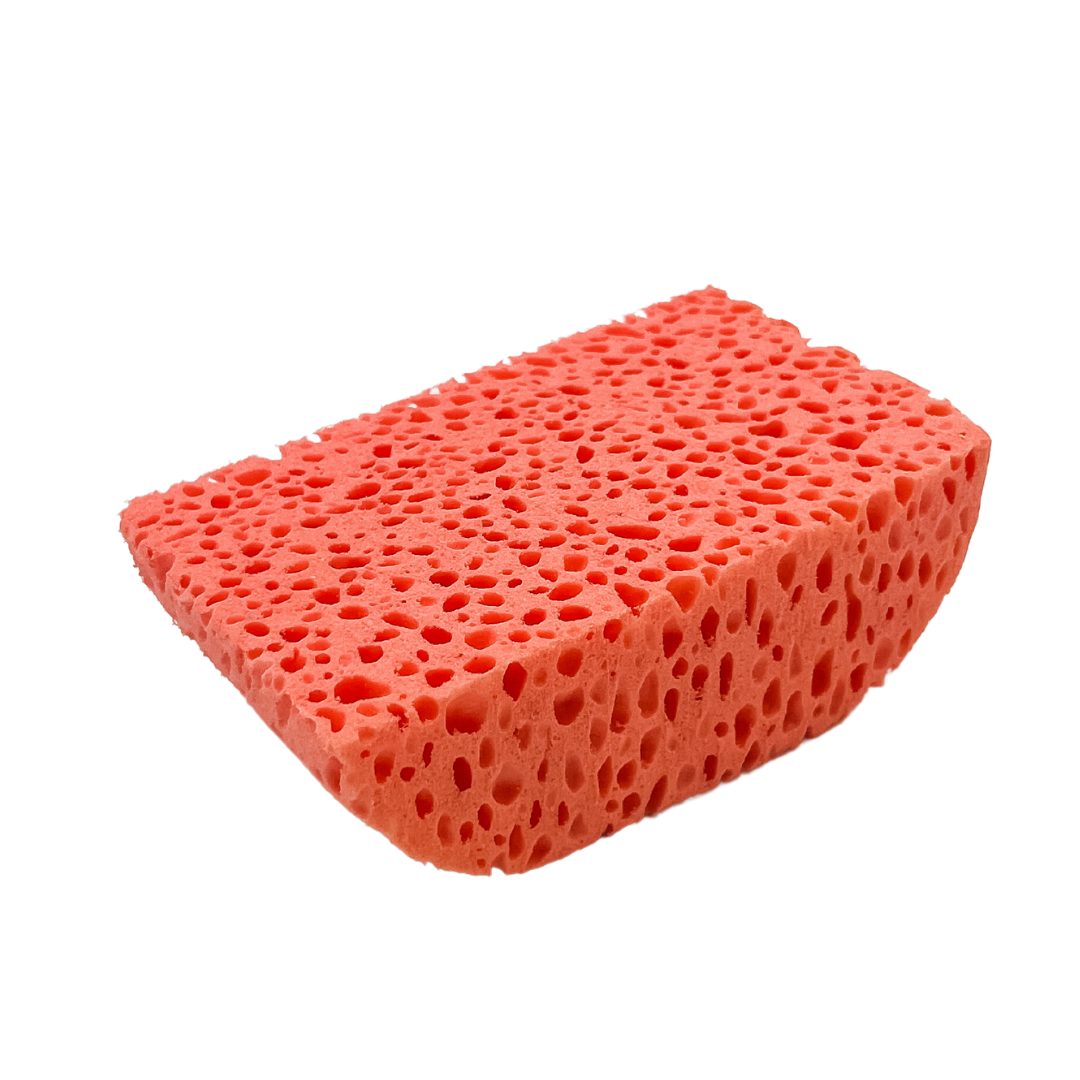 Sponge #411
