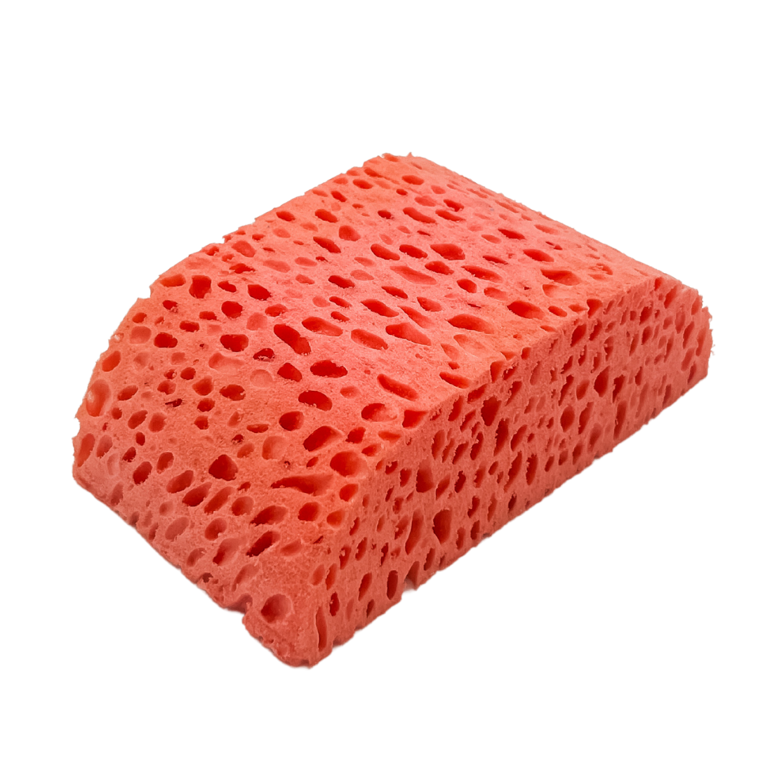 Sponge #411