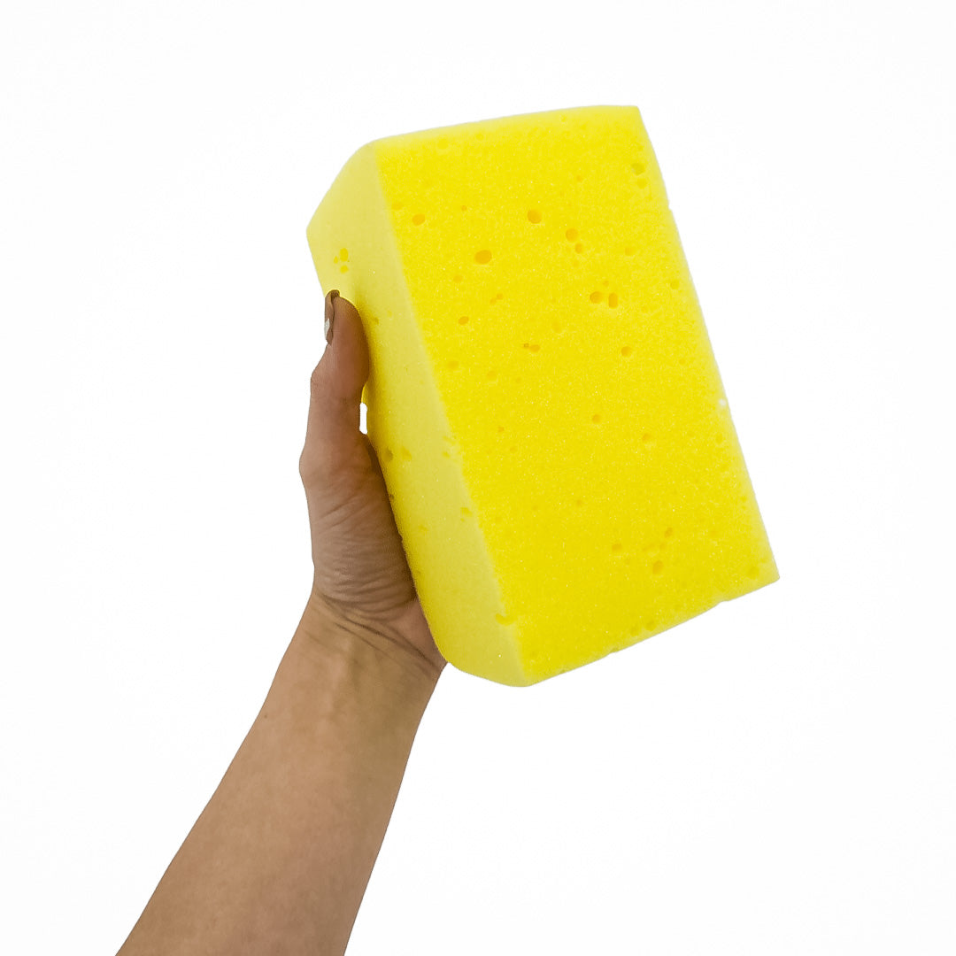Sponge #106