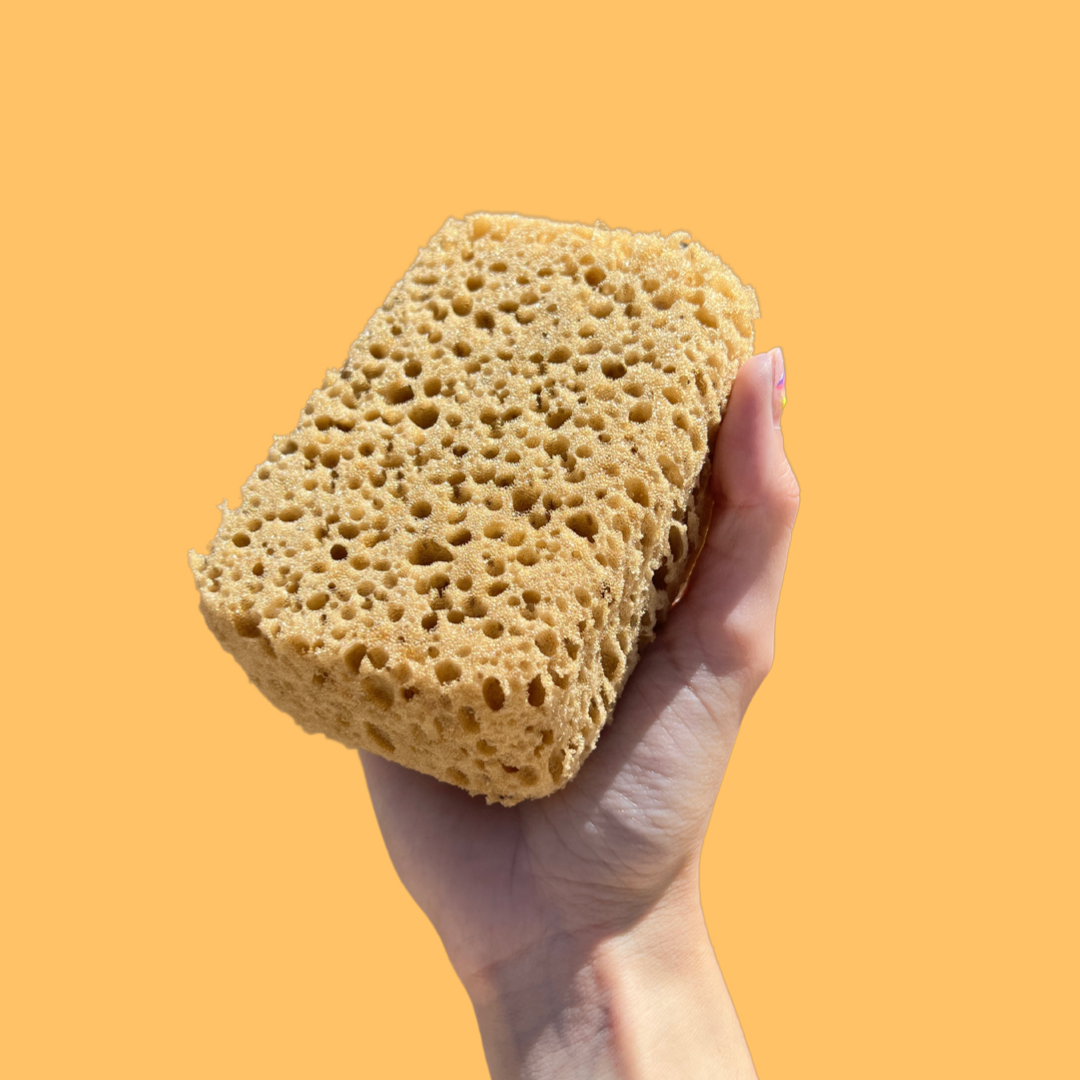 Sponge #101